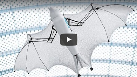 Videoteaser bionic flying fox