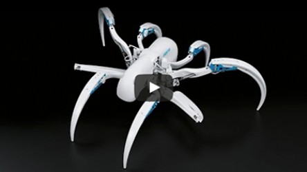 Videoteaser Bionic Wheelbot